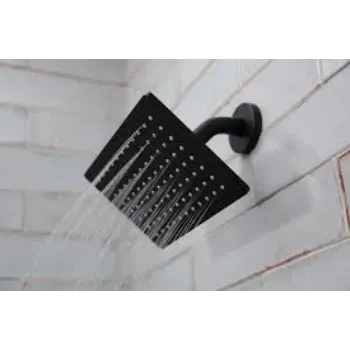 Shower Head